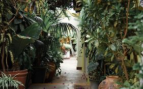 Hotel Las Golondrinas